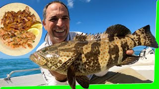 Shrimp Catch and cook with a side of fishing - Solo small boat camping - EP.584