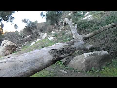 مياه معدنية بعين ثغروط بجبل بني سيدال بجماعة بني سيدال الجبل ضواحي الناظور