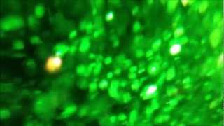 Hypnochron - Burning Winds