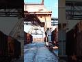 World's biggest mistake 🔥🔥 | दुनिया की बड़ी गलती #shorts #viral #trendingfacts