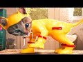 Fun Pet Care Game Little Kitten Adventures Play Fun Costume Dress Up Party Mini Games For Kids