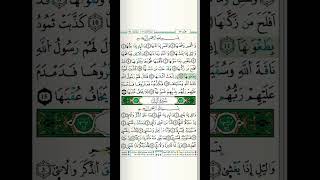 سورة الشمس بصوت القارئ ياسين الجزائري برواية ورش عن نافع من طريق الأزرق