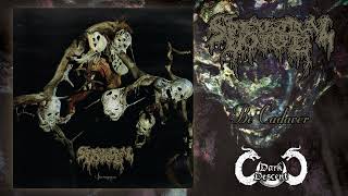 Spectral Voice - Sparagmos (Full Album - Dark Descent Records 2024)