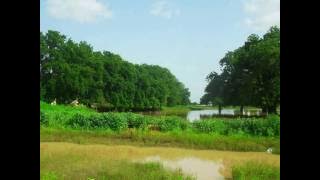 الموسيقار حافظ عبد الرحمن-مقطوعة موسيقية رائعة