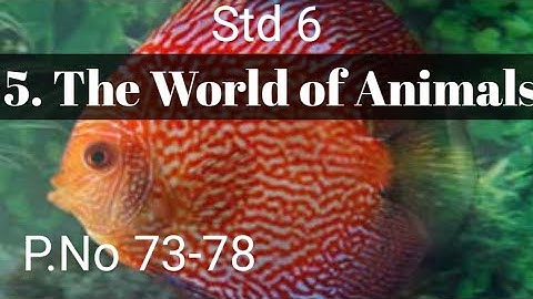 6th science / Term 1/Unit 5/ The World of Animals/ Teacher