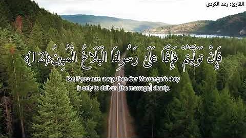 قرآن كريم بصوت رعد الكردي - سورة التغابن | حالات واتس اب دينية