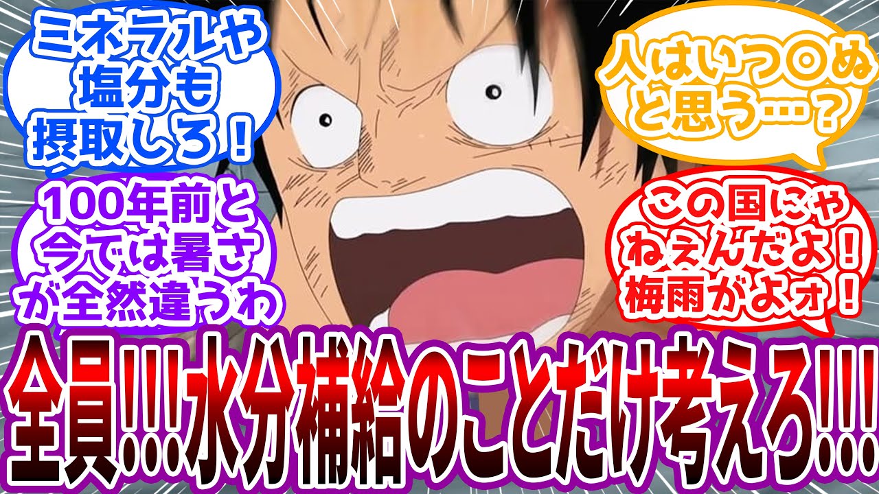 「今のおれ達じゃあこの暑さには勝てねェ!!!」熱中症のへの恐ろしさを語るワンピキャラ達に対する読者の反応【ワンピース】