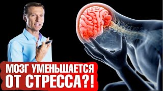 Как стресс влияет на мозг? 6 действенных способов защиты мозга от стресса