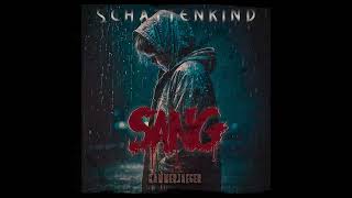 SANG feat. KaMmErJaEgEr - Schattenkind (Teaser)