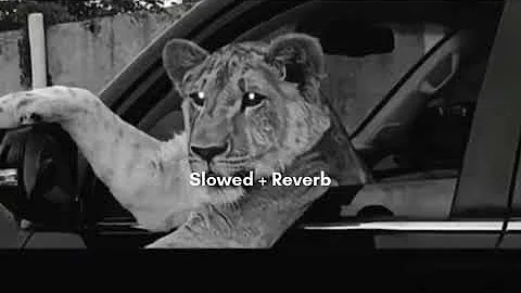 999 [Slowed + Reverb] Jerry | Black Lofis | 2024