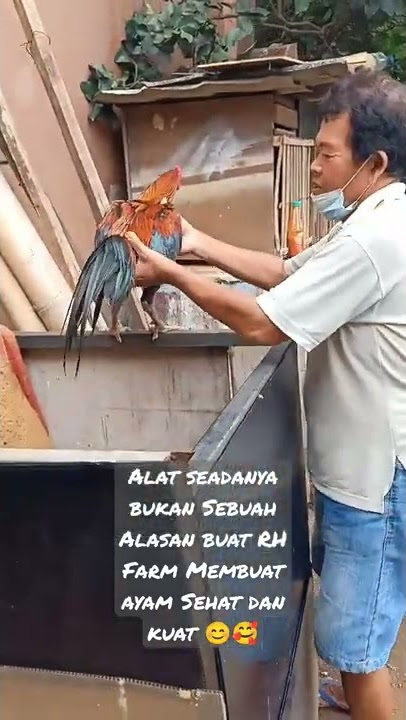 Fisik Lompat Mangon dan sejenisnya Biar Semakin Lentur badan Jangan Lupa Vitamin dan Extrafood nya