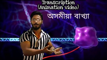 part-2 | class-12 | Transcription | animated video