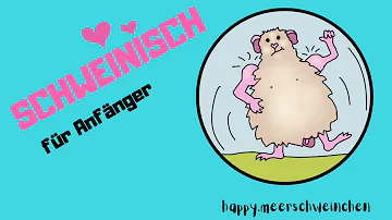 Was bedeutet das Quieken von Meerschweinchen?