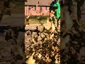 Blowing some leaves
