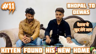 Kitten found his new home | Bhopal to dewas | देवास से खुद लेने आए भोपाल | #cat #catsofyoutube by The Cat house  598 views 2 months ago 5 minutes, 37 seconds