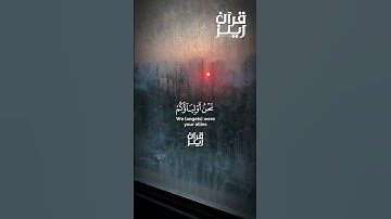 قران كريم القارئ ناصر القطامي (سورة فصلت)