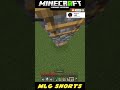 Mincraft new mlg shorts minecraft