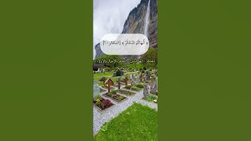 الهاكم التكاثر# سورة التكاثر#