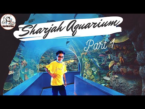 Sharjah Aquarium|Visit to Sharjah Aquarium 2021|Aquarium Part 1
