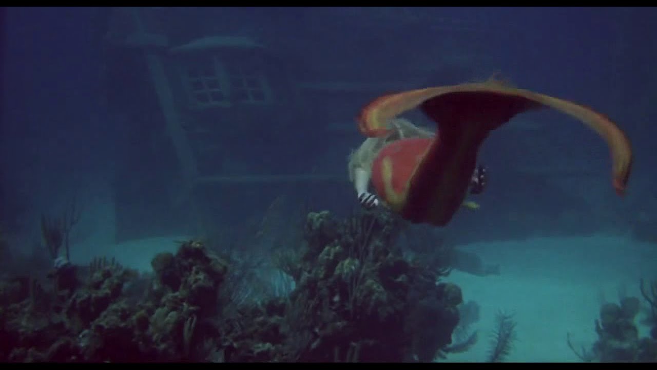 Splash (1984) Version Française YouTube