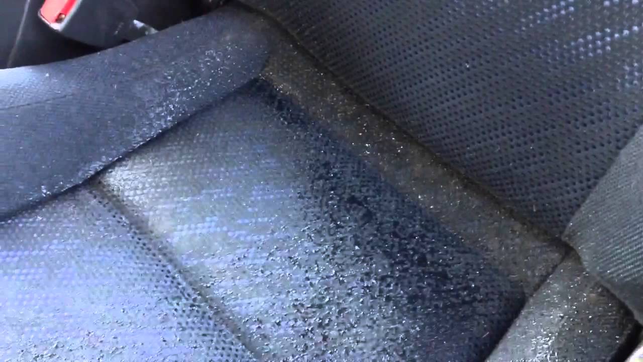 車内シートのカビ汚れをクリーニング エガ社長 Youtube
