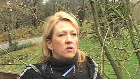 Deborah MacDonald at Awakened Wisdom
