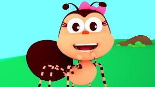 The Little Spider Song, Preschool Music and Rhymes for Kids