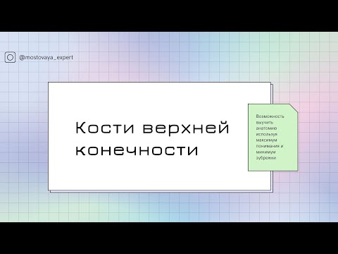 Кости верхней конечности