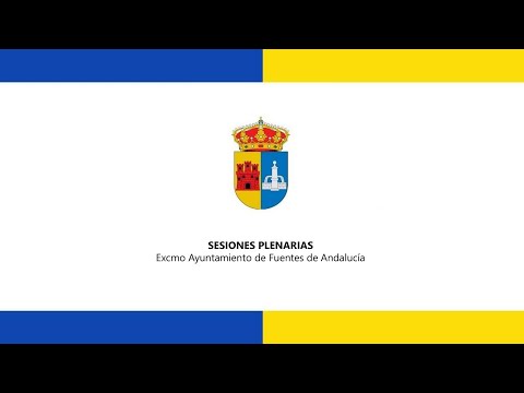 Pleno Ordinario -
