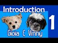 Video 1: Introduction to Gioia and Vinny