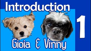 Video 1: Introduction to Gioia and Vinny