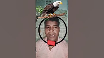 📌📌Baj 🧩How can we cleverly fit this circle into the puzzle?#gaming #puzzle #iq #iqtest