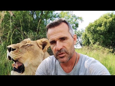 Valentine's Day Love with Meg | The Lion Whisperer