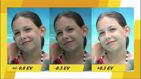 Nikon D600 App Preview Beyond the Basics for Apple and Android