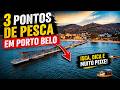 3 PONTOS DE PESCA EM PORTO BELO QUE VOCÊ PRECISA CONHECER!