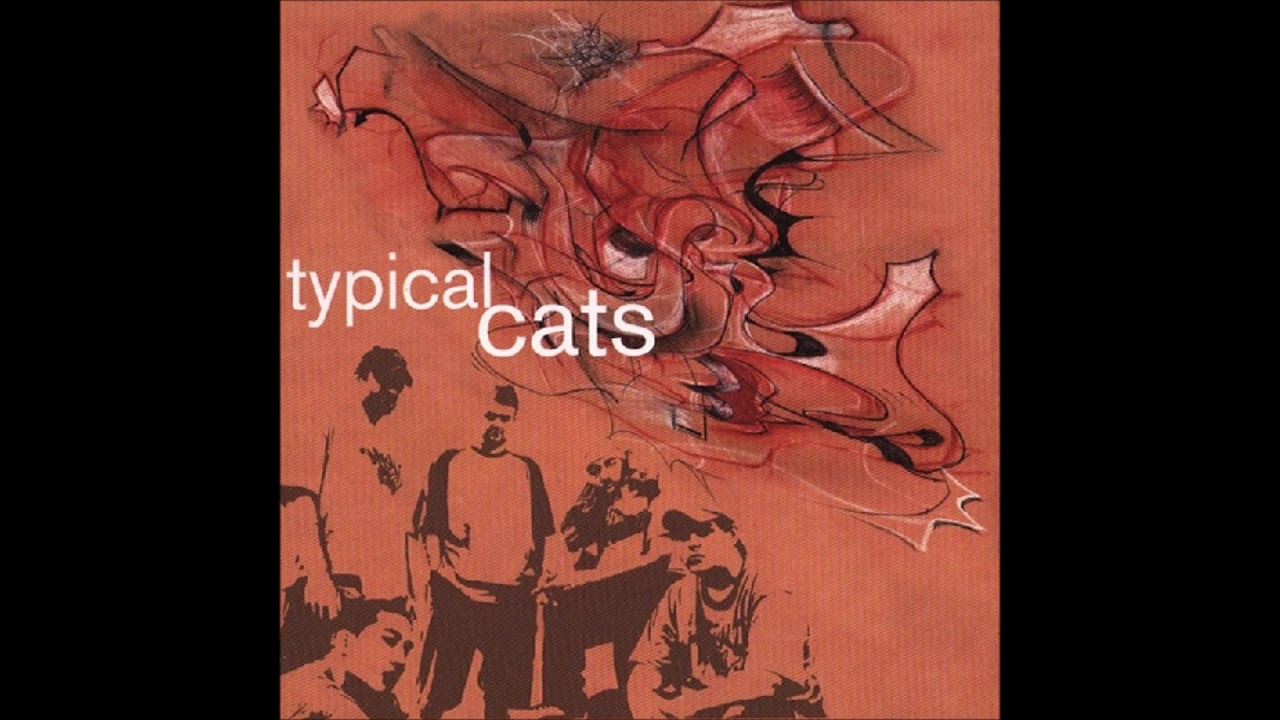 Typical Cats - Snake Oil - YouTube