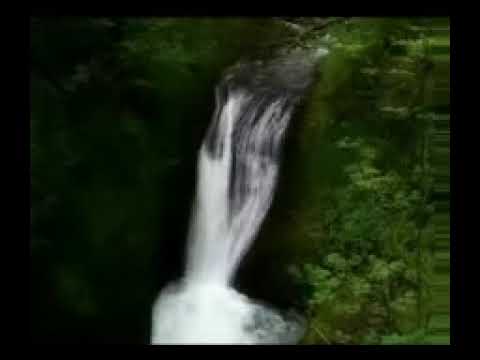 تلاوة مؤثرة خاشعة سورة غافر الشيخ عبدالله كامل