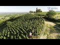 Team france export avec lentreprise vignerons perrier