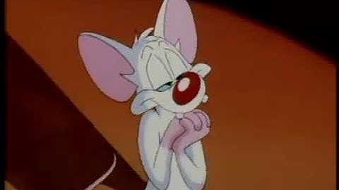 Pinky And The Brain - Battle for the Planet