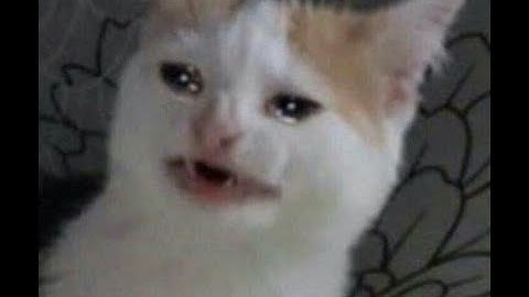 How To Create GTPS Launcher For PC/LAPTOP