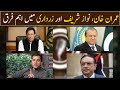Imran riaz khan tells difference among imran khan asif zardari and nawaz sharif  gwai