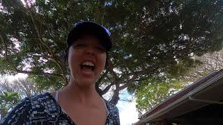 Touring Mauis Tropical Plantation