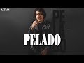 (Letra/lyrics) PELADO - NATTAN (Clipe oficial) / Músicas Mais Amadas /As Mais Tocadas