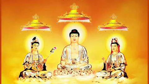金菩提禅师颂 阿弥特 video - 天天要闻