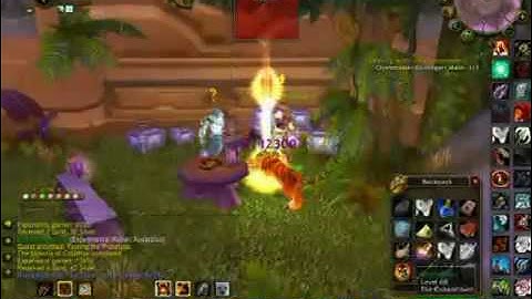 1 - 80 In 5 days 8 hours World Record - WoW Leveling Guide - Fully Solo!