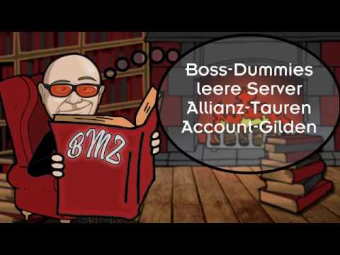 BMZ: Boss-Dummies, leere Server, Allianz-Tauren, Account-Gilden