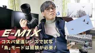 【OLYMPUSレンズ】75mm-300mmコスパNo.1のレンズ購入、試写！むずい。