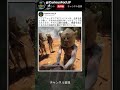 この姿で急に現れたら逃げると思う 😱