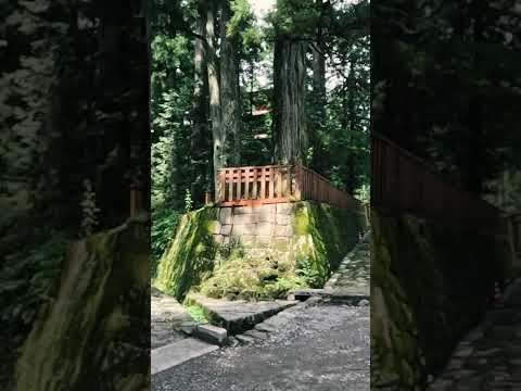 【Walk in Japan】 World Heritage Site - Nikko Toshogu Shrine - Walking Tour Johnny JAM🎸 栃木 7 short