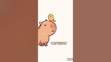 Capybara Song Official Music Video! (*CONCEPT*)